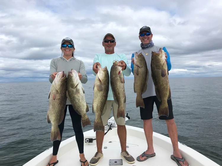 127167476 4086003428079865 5546566498424989526 n