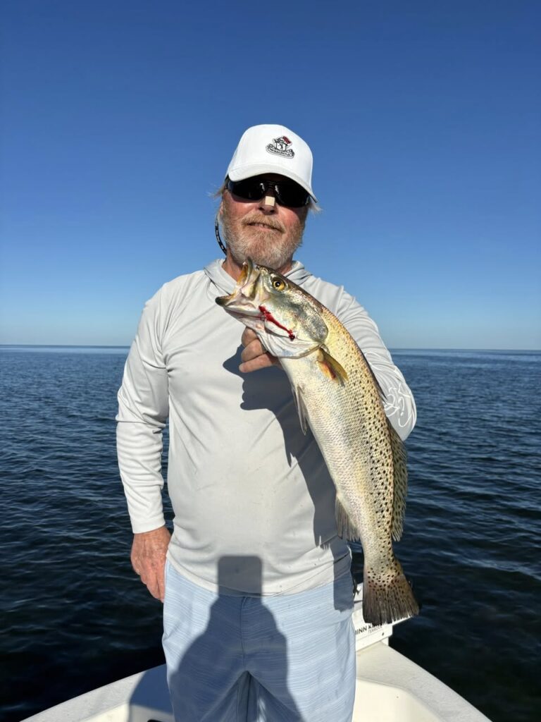 561380632 1683018019574471 2688656607205646437 n