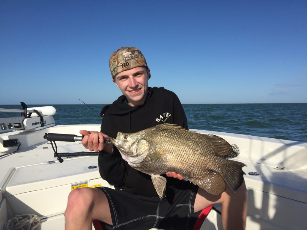 IMG 3968 e1544888098926 1024x768 1